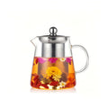 Glass Teapot with Stainless Steel Infuser, Borosilicate Tea Kettle, Clear Tea Maker for Loose Leaf Tea (550ML)